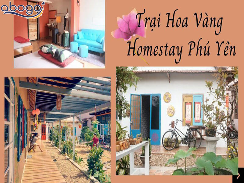 Trại Hoa Vàng Homestay ở Phú Yên đẹp nhất