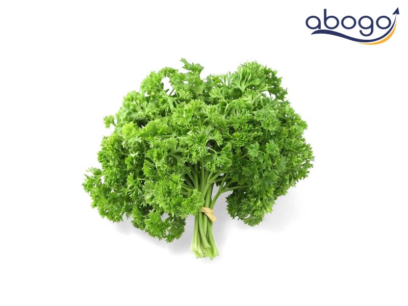 Rau Parsley giàu chất chống oxy hóa cho cơ thể