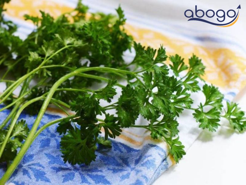 Parsley có thể bảo vệ tim mạch