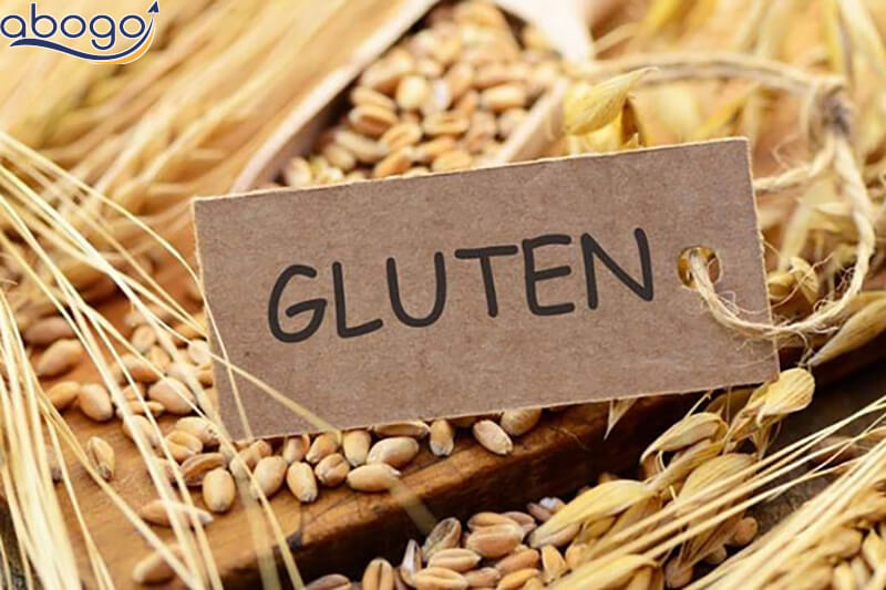 Gluten được tìm thấy trong lúa mạch, ngũ cốc